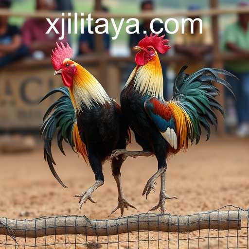 Exploring the Fascinating World of Sabong Games and the Role of xjili.com